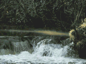 Vesiputous metsässä